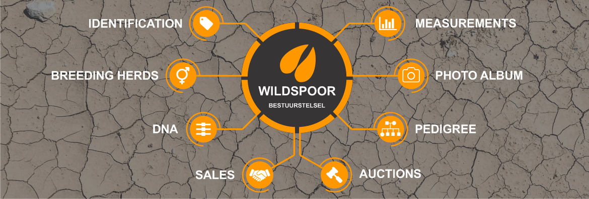 Wildspoor